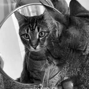 Meet your Posher, Ceci